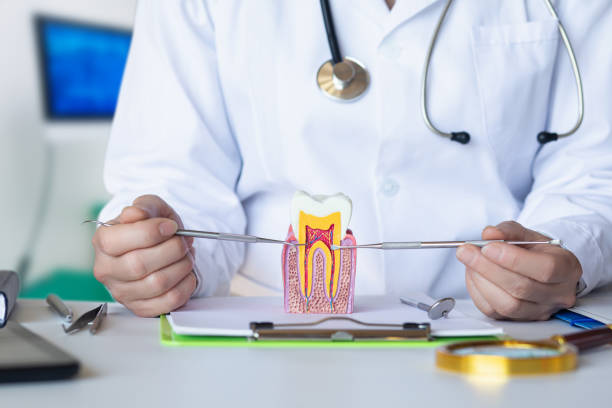Best Emergency Dentist for Knocked-Out Tooth in Riverside, AL